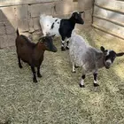 تم البيع خارج الموقع