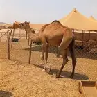 ماشاءالله تبارك الله