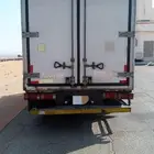 دينا ايسوزو 2023