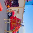 ايجار سياسي وايجار جمال وايجار خيول ايجار زلول