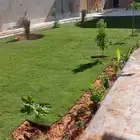 المسطحات الخضراء الزراع ثيل سي2000 فرنسي