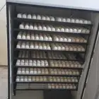 فقاسه دجاج اتوماتيك سعة 1580 بيضه