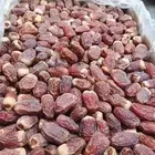 يوجد صقعي مبروم التواصل خاص