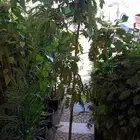 يوجد جميع الشتلات خرجي ودخلي