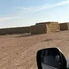 علف رودس مخزن شد ممتاز