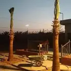 إسلام عليكم ورحمه الله وبركاته اخواني الكرام يوجد لدينا نخيل