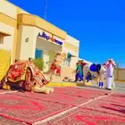 اجار جمال رحول زلول ركبي اجار خيل عربي اجار عربه حنطور سيسي