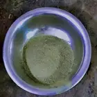سدر طازج