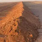 بلدوزرات للايجار تعقيم تسويه تجميع دفان الموقع حائل الارشاوي