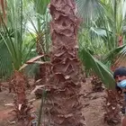 تنسيق حدائق لجميع الحدايق المنزلية والاسترحات