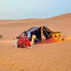 اجار جمال رحول زلول ركبي اجار خيل جمل أغراض تراسي