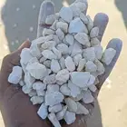 بحص الخرج