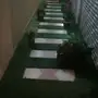 مهندس زراعي ابوفاطمه لجميع مستلزامات الزراعه