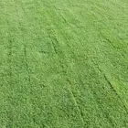 ثيل نجيل طبيعي c2000 ياباني فرنسي
