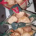 فقع