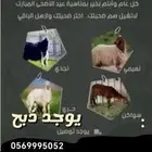 يوجد اضاحي