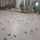 مبلط باكستانى