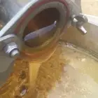 عسل سدر عسل شوكه اصلي مضمون على الشرط