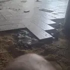 معلم بلاط بجميع انواعها رقم جوال