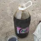 عسل مراعي سمر وسلام