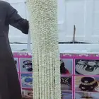 فل ورد ومشاقر