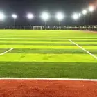 ثيل ملاعب عشب ملاعب