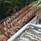 واشنطن زينه رقم واحد لتواصل ابو ياسمين