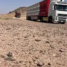 نقليات اغنام