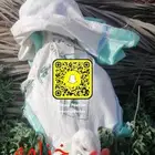 خزامة نظارة انف للطيور الداجنة