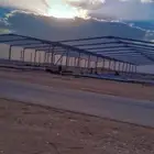 مقول نخل وشبوك