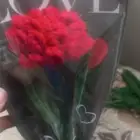 باقات ورد كروشيه