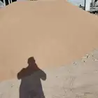 جميع انواع الرمل بسعر منافس