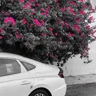 كداد من خميس مشيط الى مناطق الساحل وجازان