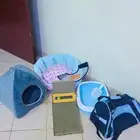 مستلزمات والعاب قطط