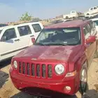 جيب باتروت 2010