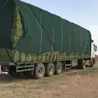 برسيم صافي