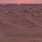 لوحة سيارة مفقودة