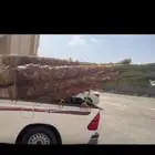 ممتخصصون في  النخيل وتوريد