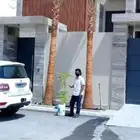 نخيل واشنطن ونخل عربي وتنسيق الحدائق