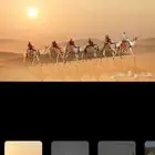 استأجر خيول وجمال زينه وسياسي وحناطير