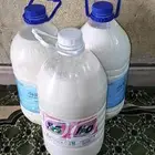 سمن غنم وروب غنم. دهنت غنم