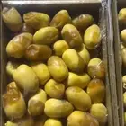 نخيل واشجار وزيتوان