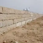 نخيل وزيتون وربراب