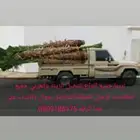 يوجد لدينا جميع انواع انخيل المثمرة والزينه