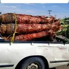 يوجد لدينا 8حبت نخل واشنطن زينه في عفيف البيع
