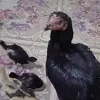 اللهم ارزقني من حيث لا احتسب