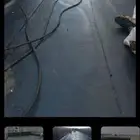 غازل علا شرط