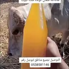 بيع سمن بلدي وحقنه وخلاصه