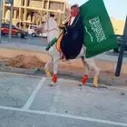 جمال ركبي وخيل عربيه وسياسي للايجار