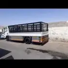 دينا بيشه للنقل داخل بيشه وخارجها
